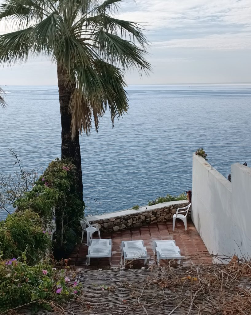 08 U3 jardin 1703870841718 ret